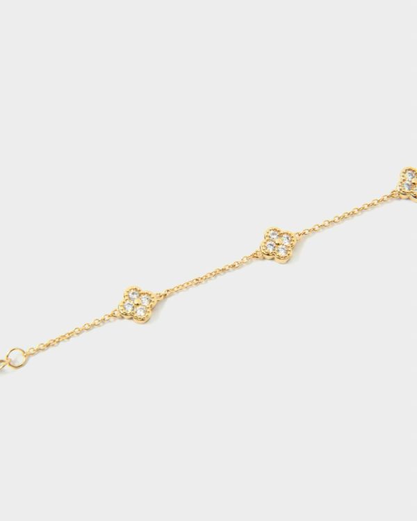 Robertmagana.shop19ba3a35a6 2