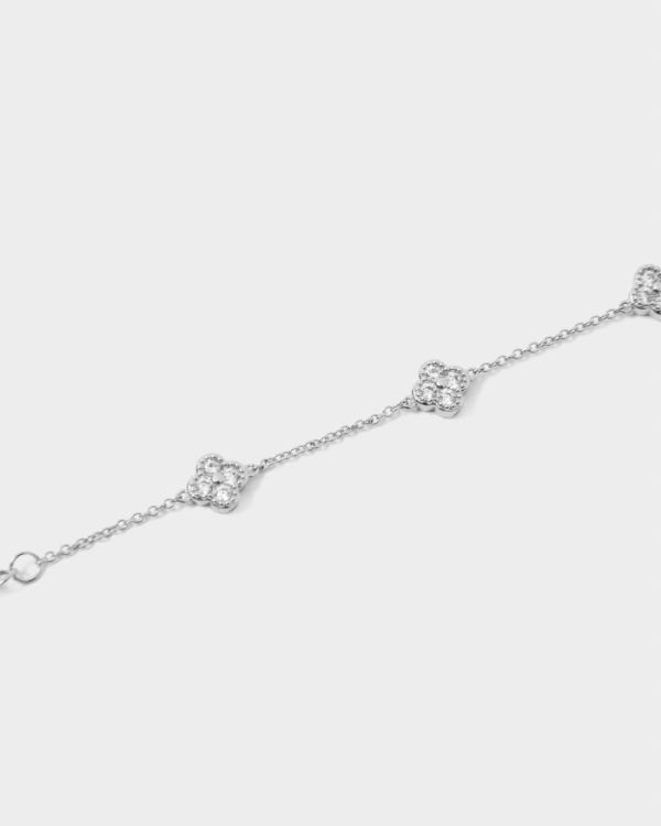 Robertmagana.shop19ba3a35a6 5