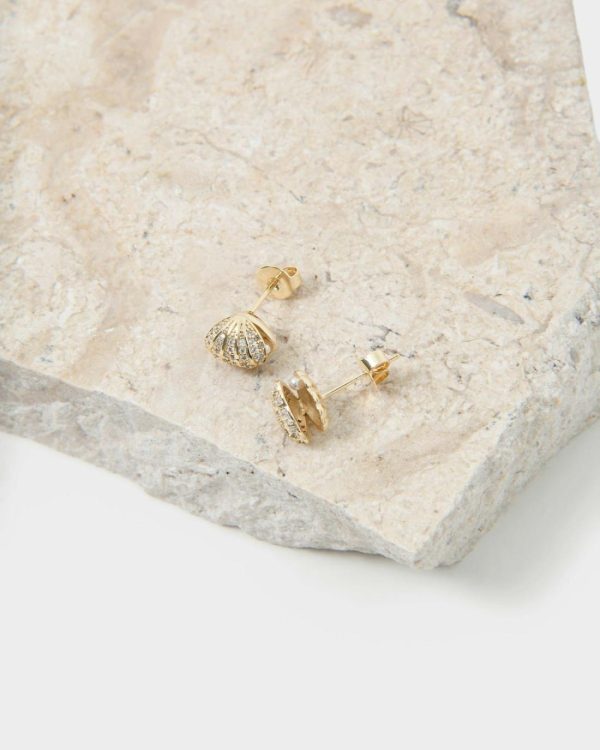 Robertmagana.shopa2f157dce9 3