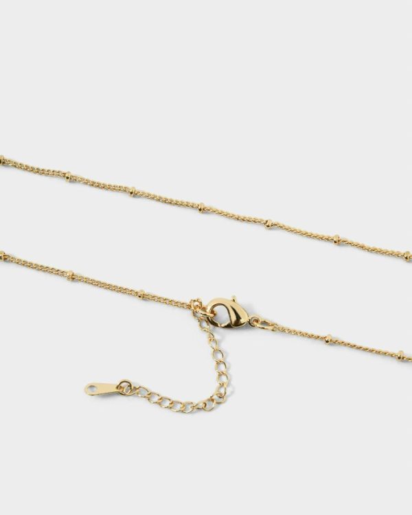 Robertmagana.shopdd8c5e5a7a 4